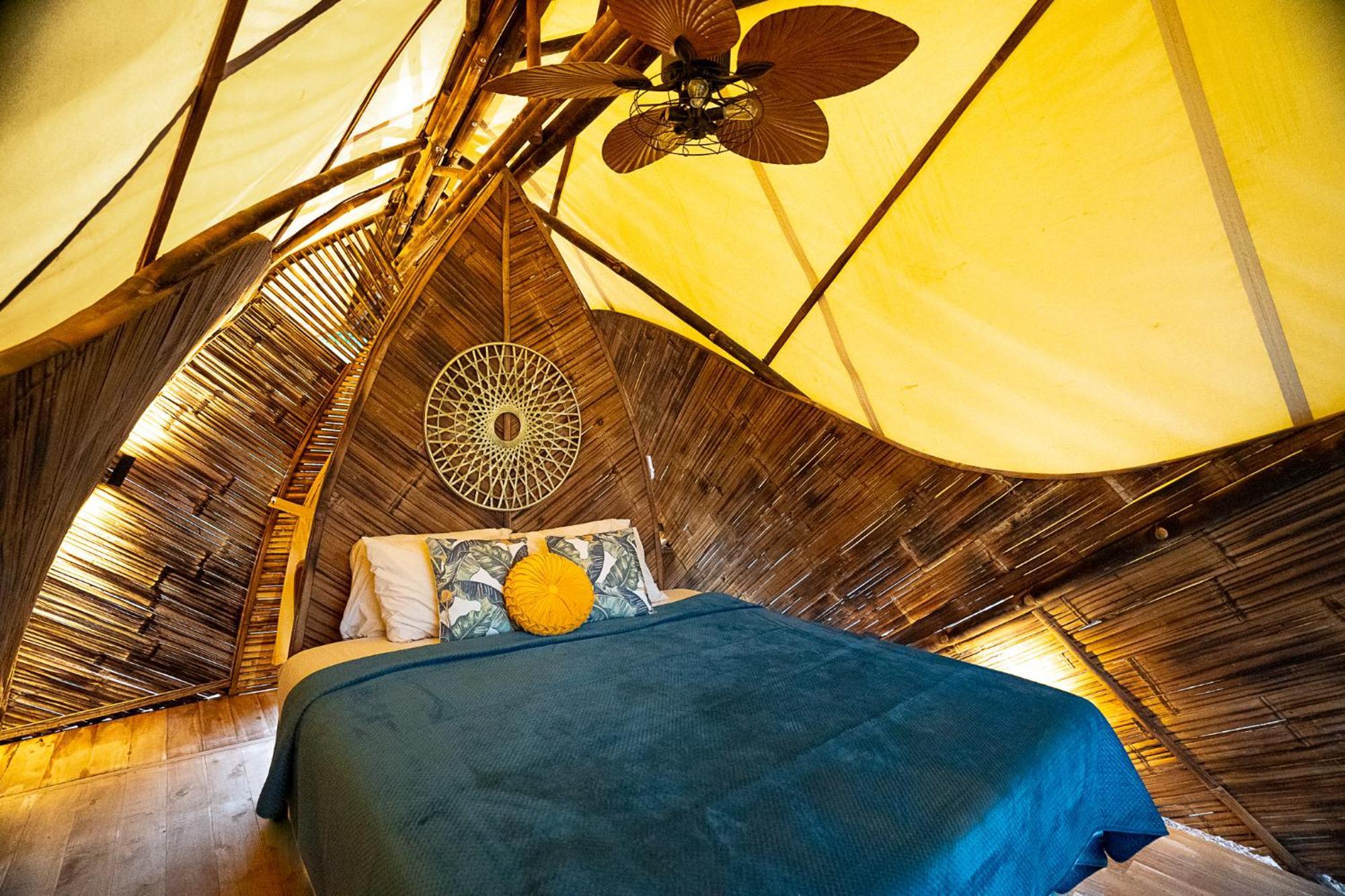 Jungle Gayborhood Hotel And Retreat Center San Luis  Εξωτερικό φωτογραφία