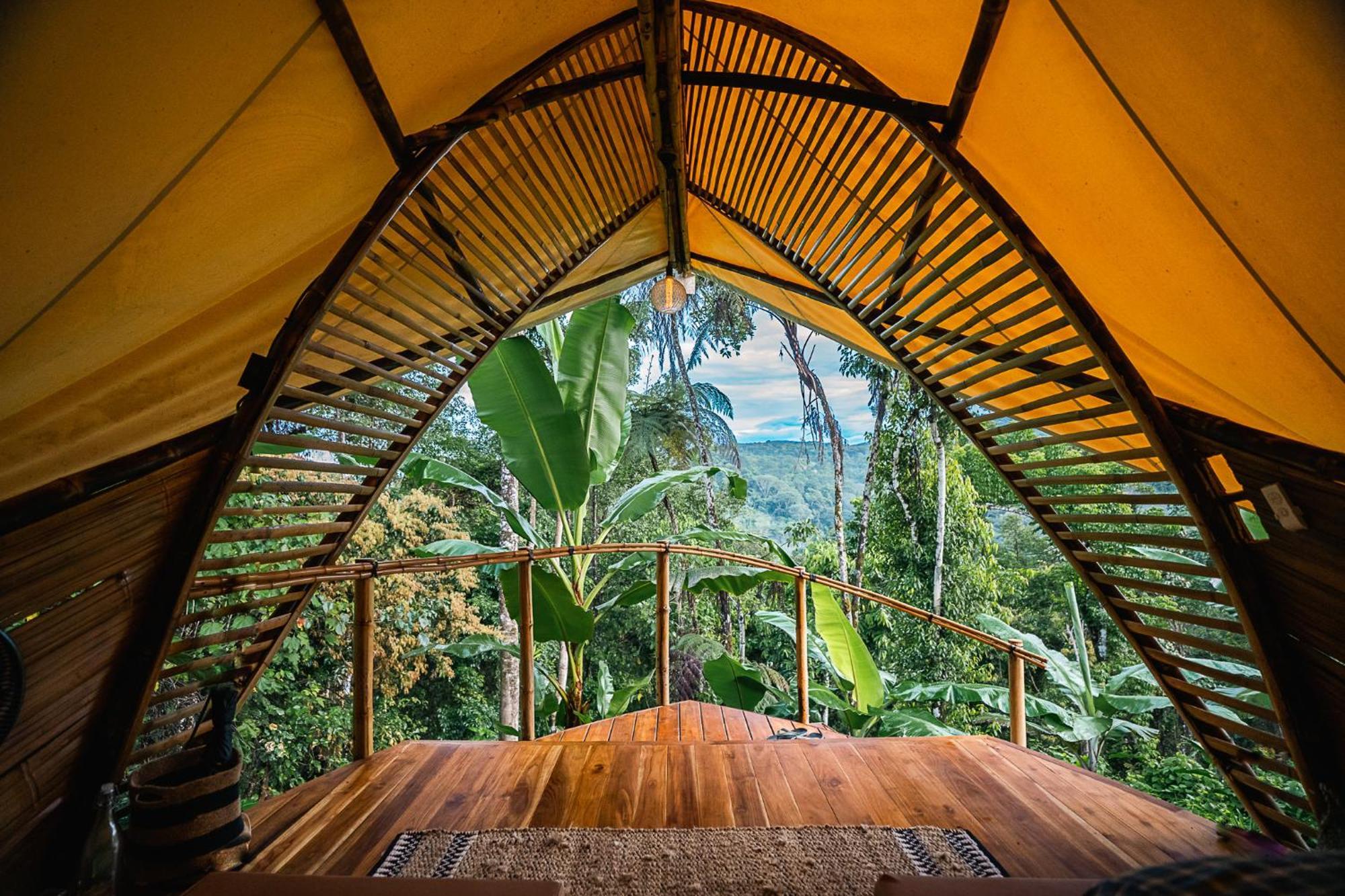 Jungle Gayborhood Hotel And Retreat Center San Luis  Εξωτερικό φωτογραφία